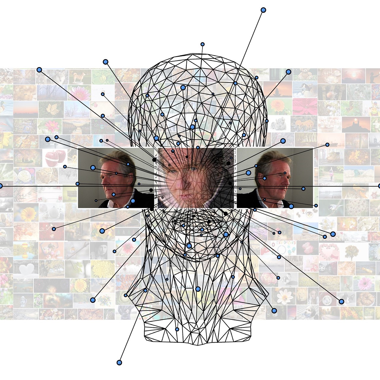 image recognition